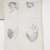 <span class="artist-name-product">BOUILLAUD  Jean Baptiste</span> Traité clinique des maladies du cœur, précédé de Recherches nouvelles sur l'anatomie et la physiologie de cet organe. - Image 3