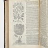 <span class="artist-name-product">MESUE  Abu Zacharia Yuhanna ibn Masawayh</span> Mesuae Graecorum, ac Arabum clarissimi medici Opera quæ extant omnia... – Image 2