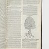 <span class="artist-name-product">MESUE  Abu Zacharia Yuhanna ibn Masawayh</span> Mesuae Graecorum, ac Arabum clarissimi medici Opera quæ extant omnia... – Image 4