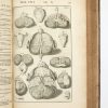 <span class="artist-name-product">SPIGELIUS  Adrianus</span> Opera quae extant omnia. Ex recensione Ioh Antonidae van der Linden. – Image 2