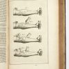 <span class="artist-name-product">SPIGELIUS  Adrianus</span> Opera quae extant omnia. Ex recensione Ioh Antonidae van der Linden. – Image 4