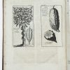 <span class="artist-name-product">LABAT  Jean-Baptiste</span> Nouveau voyage aux Isles de l'Amérique. Contenant l'histoire naturelle de ces pays, l'origine, les moeurs, la religion & le gouvernement des habitans anciens et modernes... Le Commerce et les manufactures qui y sont établies. - Image 2