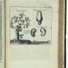 <span class="artist-name-product">LABAT  Jean-Baptiste</span> Nouveau voyage aux Isles de l'Amérique. Contenant l'histoire naturelle de ces pays, l'origine, les moeurs, la religion & le gouvernement des habitans anciens et modernes... Le Commerce et les manufactures qui y sont établies. - Image 3