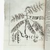 <span class="artist-name-product">OURCHES  Charles d'</span> Aperçu général des forêts, dédié à la postérité. – Image 5
