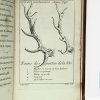 <span class="artist-name-product">SERÉ DES RIEUX </span> Les Dons des enfans de Latone : la musique et la chasse au cerf. Poëmes dédiés au Roy. - Image 6
