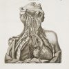 <span class="artist-name-product">CALDANI  Leopoldo Marco Antonio</span> Icones anatomicae quotquot sunt  celebriores ex optimis neotericorum operibus summa diligentia depromtae et collectae; Iconum anatomicarum explicatio.