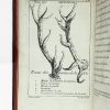 <span class="artist-name-product">SERÉ DES RIEUX </span> Les Dons des enfans de Latone : la musique et la chasse au cerf. Poëmes dédiés au Roy.